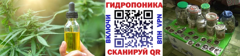 Cannafood конопля  ссылка на мегу маркетплейс  Череповец 