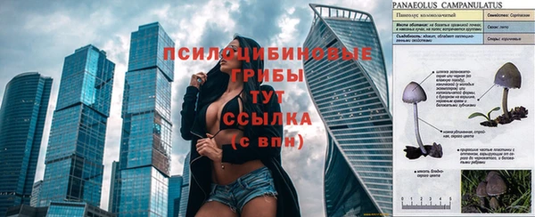 МДМА Верхний Тагил