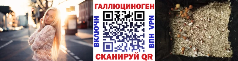 Галлюциногенные грибы MAGIC MUSHROOMS  блэк спрут вход  Череповец 